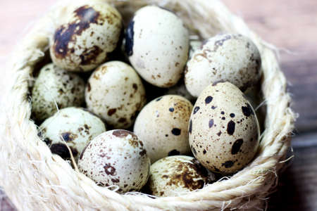 Quail eggs, bird offspring, healthy foodの写真素材