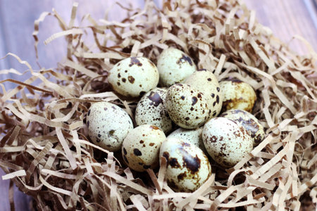 Quail eggs and a wicker nest for birds