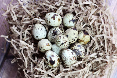 Quail eggs and a wicker nest for birdsの写真素材