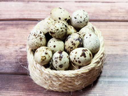 Quail eggs and a wicker nest for birdsの写真素材