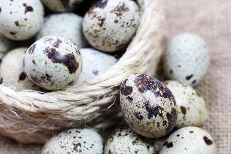 Quail eggs and a wicker nest for birdsの写真素材