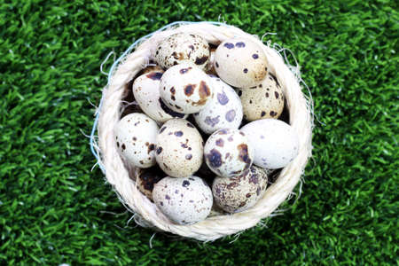 Quail eggs and a wicker nest for birdsの写真素材