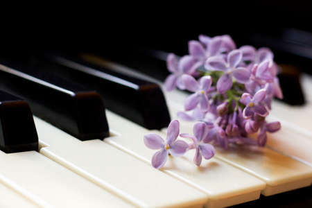 Purple lilac on the keys of a piano. Selective focus.の写真素材