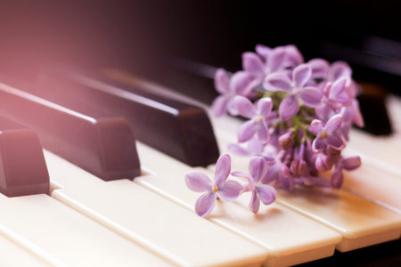 Beautiful fragrant lilac on a piano, spring flowersの写真素材
