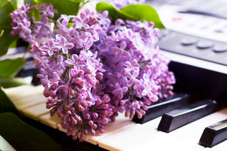 Beautiful fragrant lilac on a piano, spring flowersの写真素材