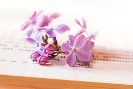 Beautiful fragrant lilac on a book, spring flowersの写真素材