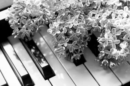 Beautiful fragrant lilac on a piano, spring flowersの写真素材