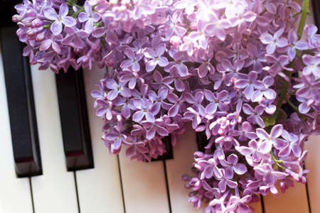 Bouquet of lilac flowers on the keys of the pianoの写真素材