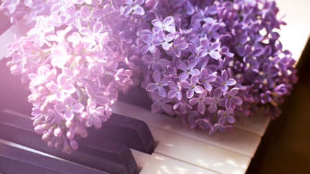 Beautiful lilac flowers on piano keys, closeup. Musical instrumentの写真素材