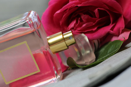Perfume bottle and rose on white background, closeup.の写真素材