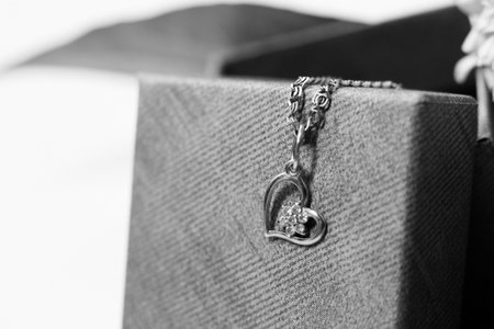 Black and white photo.の写真素材