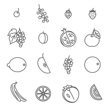 Fruits. Set of Outline Icons.のイラスト素材