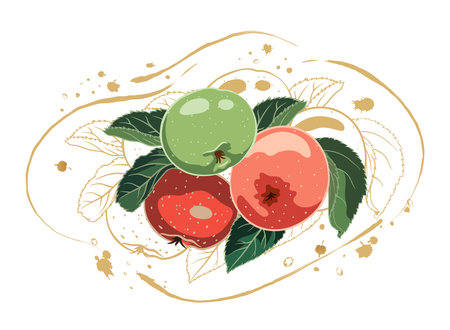 composition of red and green apples with leaves on the background of a golden contour of apples with splashes and blots. vector illustrationのイラスト素材