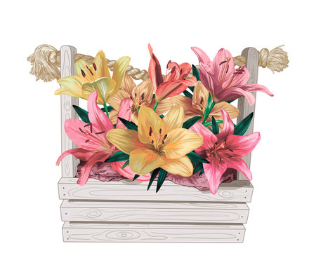pink and yellow lilies in a light wooden basket on a white background. vector illustrationのイラスト素材