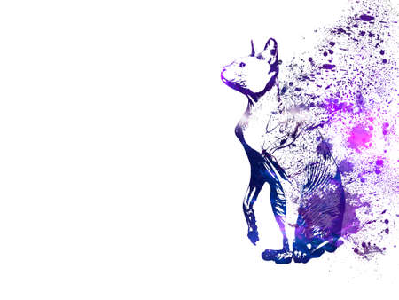 Abstract modern illustration - portrait of a cat made of strokes and spotsの写真素材