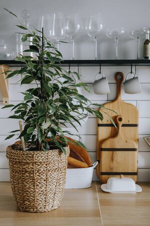 A plant in a wicker basket is on the kitchen set. Minimalistic styleの写真素材