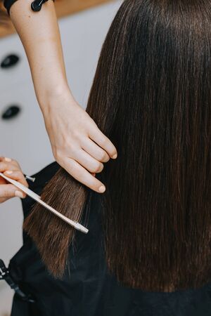 Womens haircut at home. Hairdresser cuts a girl at home.の写真素材