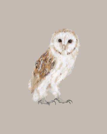 Barn owl creative painting. Realistic drawing of a white owl. Isolated drawing of a wild owl bird in full size.の写真素材