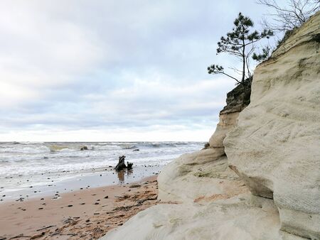 Sandstone cliffs and flora at the Baltic sea shore. Beige limestone beach in december during storm. Sandstone cliffs and caves at the latvian coast line.の写真素材