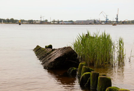 Weathered concrete and wood pylons. Fragments of a broken pier.