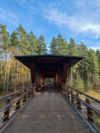 Wooden boardwalk leads to the nature park. Wooden bridge with roof.の写真素材