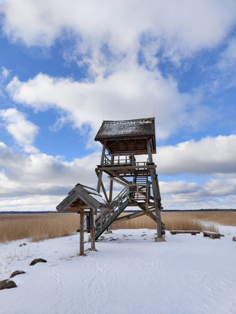 Path leads to the bird watching tower. Wooden observation tower stands in the national park. Outdoor adventure.の写真素材