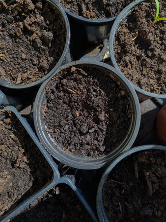 Sprouts and seedlings in small cups and containers. gardening background. Small plantation at the...