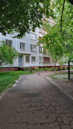 Sidewalk at the suburb that goes through blooming trees. Residential district with old soviet habitation. Path for a walk with no people around in the native neighborhood.の写真素材