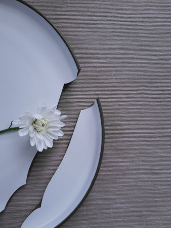 Single chrysanthemum flower lay on the broken plate. White daisy over white dining plate. Broken dreams and loneliness.の写真素材