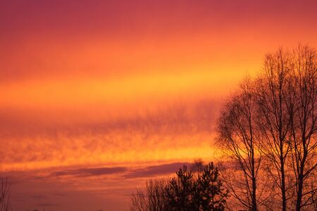 Photo of a bright pink sunsetの写真素材