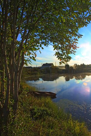 Photo of a boat on the shore of a pond under a treeの写真素材