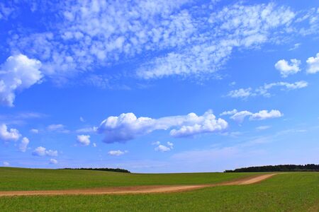 Photo of a cloudy sky over a green field and a dirt roadの写真素材