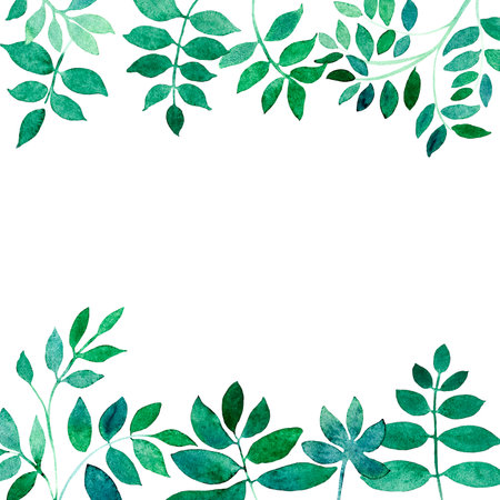 square frame of watercolor images of green leaves for an invitation, greeting or greeting cardの写真素材