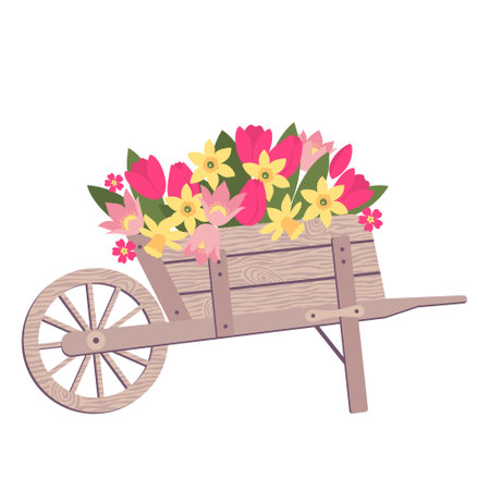 Spring flowers in a wooden cart. Daffodils and tulips in a garden wheelbarrow. Illustrated vector element.のイラスト素材