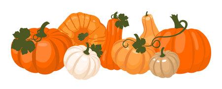 Autumn Pumpkin Harvest. Group of different pumpkins with leaves.のイラスト素材