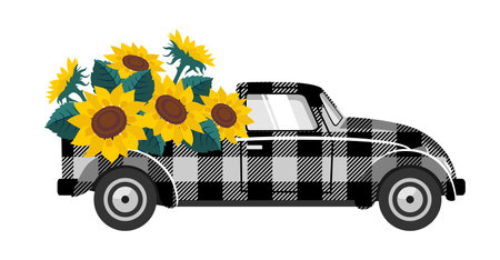 Checkered car with sunflowers. Delivery of sunflowers.のイラスト素材