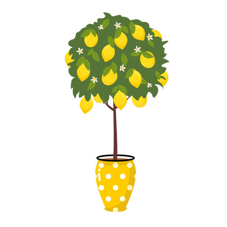 Lemon tree with fruits and flowers in a pot.のイラスト素材