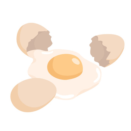 Broken egg and yolk.のイラスト素材