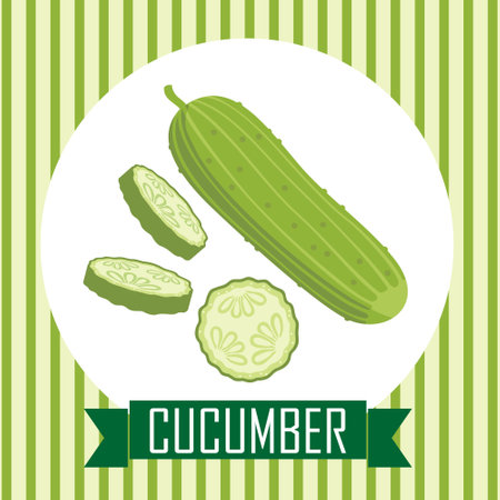 Cucumber with pimples, and slices in a frame. vectorcard.のイラスト素材