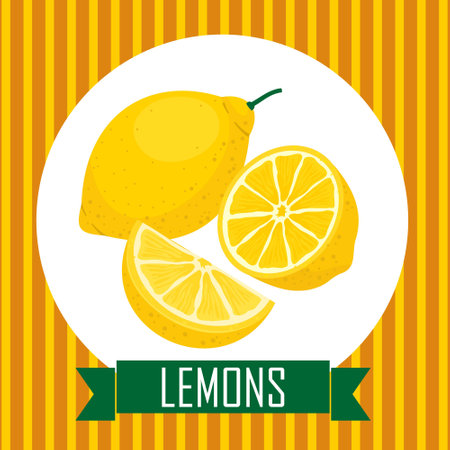 Lemon fruit, half, slice.のイラスト素材