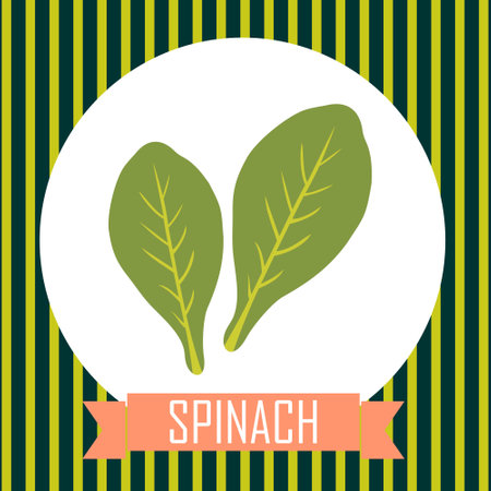 spinach leaves illustrationのイラスト素材