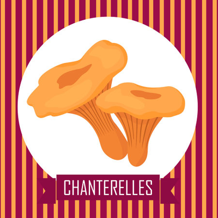 Chanterelle mushrooms in a frame.のイラスト素材