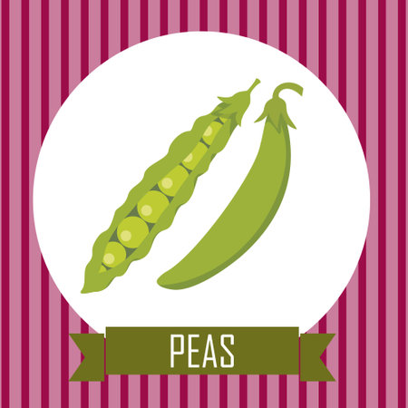 green peas, podのイラスト素材