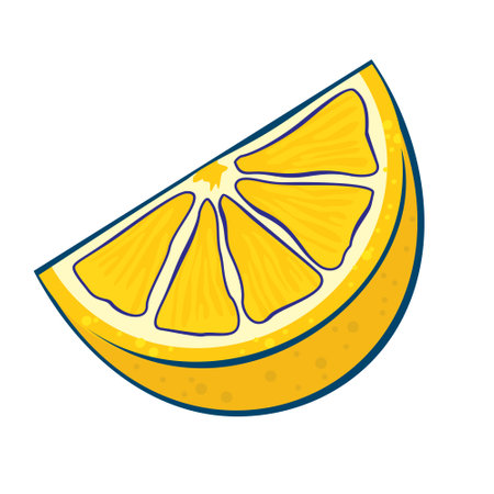A slice of juicy lemon. Vector clipart, white background, isolated.のイラスト素材