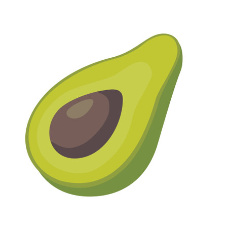 Half an avocado with a bone on a white background. Vector, isolated, flat illustration.のイラスト素材
