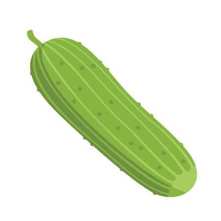 Cucumber with pimples on a white background. Vector, isolated, flat illustration.のイラスト素材