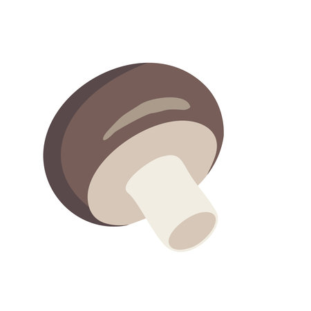 Mushroom on a white background. Vector, isolated, flat illustration.のイラスト素材