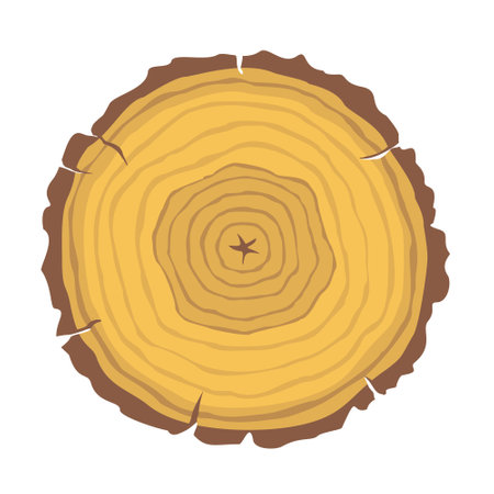 A cross-section of a tree with annual rings. Illustrated clipart.のイラスト素材