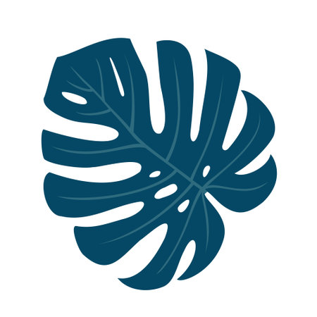 openwork monstera leaf. Vector, isolated, white background.のイラスト素材