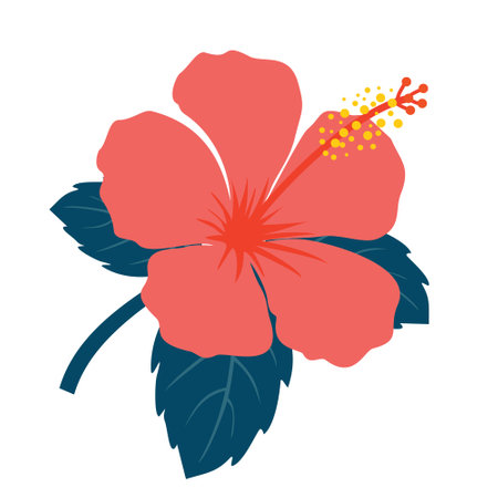 Red hibiscus flower with leaves. Vector, white background, isolated.のイラスト素材